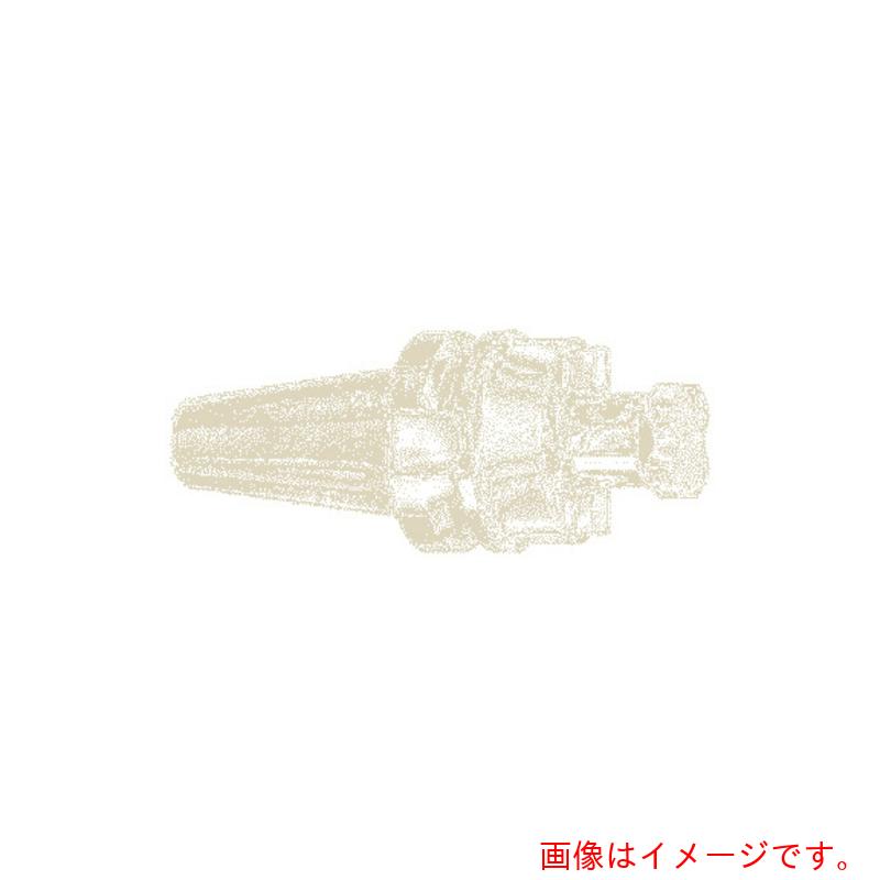 イスカルジャパン フェースミルホルダー ＢＴ－ＳＥＭ 【品番：BT50 SEM 27X105】 その他-DIY・工具