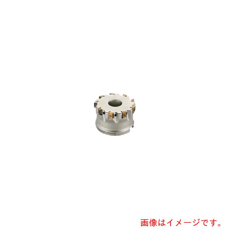 イスカルジャパン ヘリタング 人間の顔粉砕機 Ｔ４９０ ＦＬＮ－０８ 【品番：T490FLND080-10-27-08】