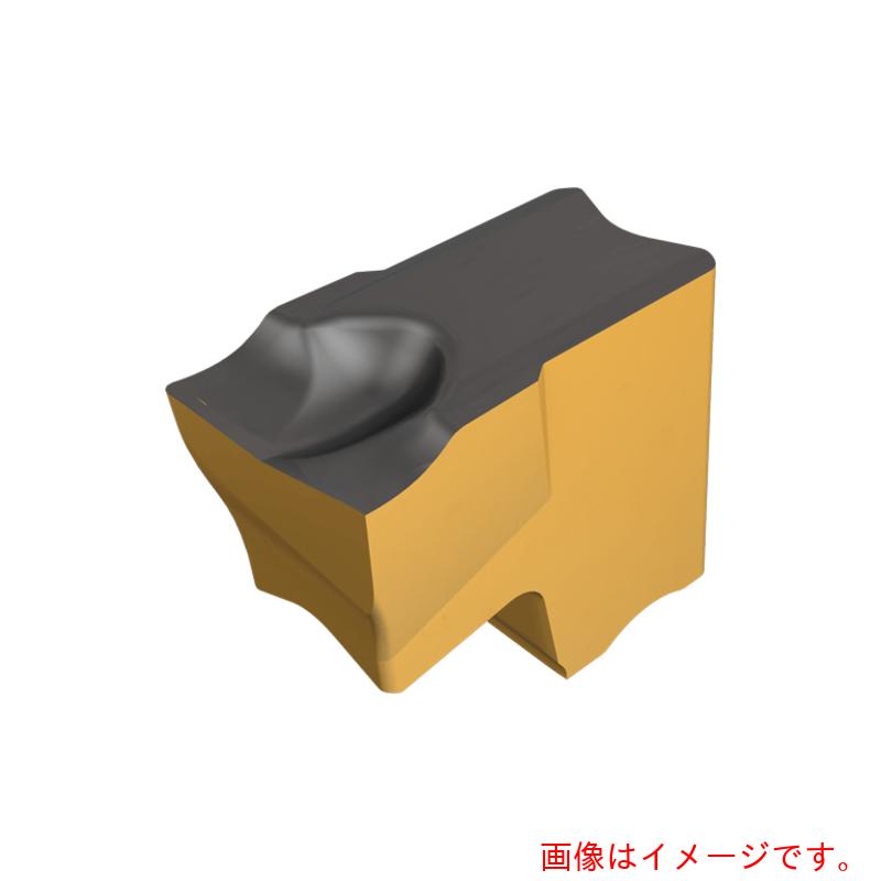 【メール便対応】イスカルジャパン　タンググリップ　チップ　ＴＡＧ　Ｒ／Ｌ－Ｊ／ＪＳ　ＩＣ８０７　【10個】 　【品番：TAG R1.4J-8D】