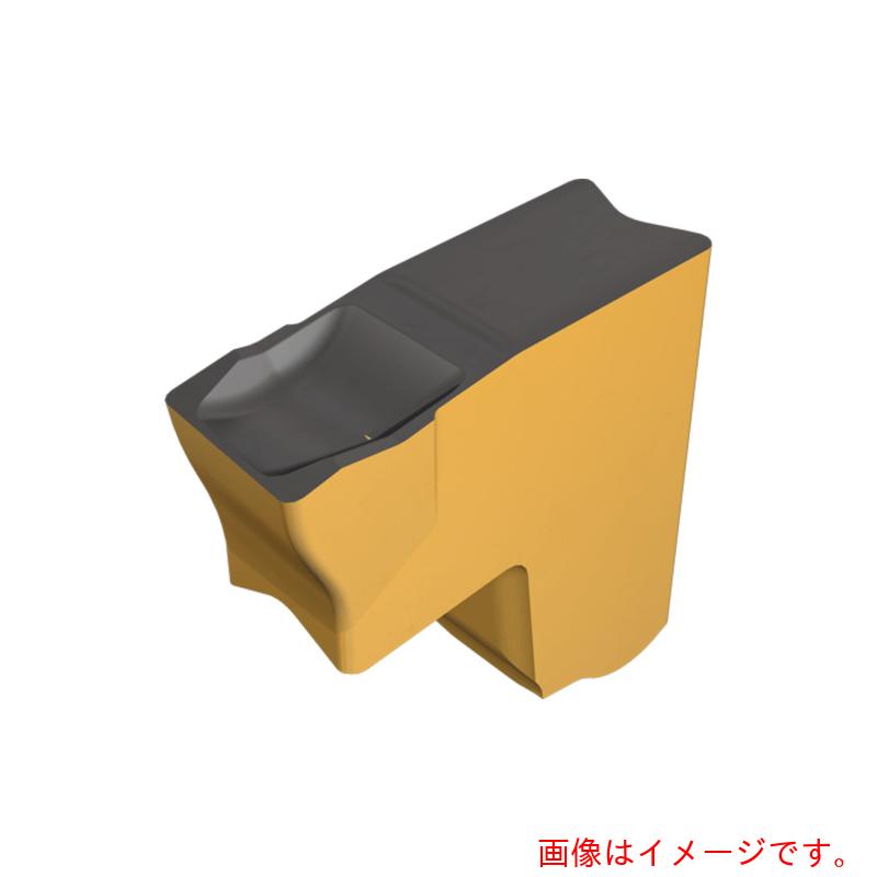 【電子メイル便相応う】イスカルジャパン タンググリップ 心付け ＴＡＧ Ｒ／Ｌ－Ｃ ＩＣ８０８ 【10個】  【品番：TAGR6.3C-4D】