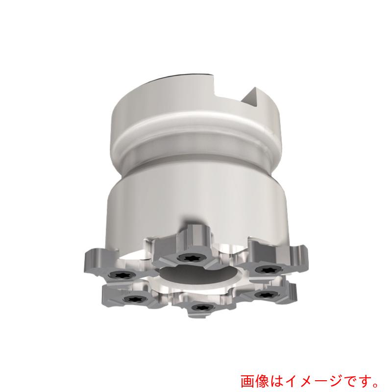 イスカルジャパン　カムスリット　フェースミル　ＴＲＩＢ－ＳＭ　【品番：TRIB 80-27SM 11Z-B】