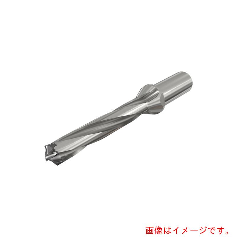 イスカルジャパン ロジック３カム ヘッド交換式ドリルホルダー Ｄ３Ｎ Ｒ－５Ｄ 【品番：D3N 250-125-32R-5D】