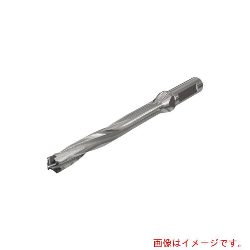 イスカルジャパン　ロジック３カム　ヘッド交換式ドリルホルダー　Ｄ３Ｎ　Ａ－８Ｄ　【品番：D3N 250-200-32A-8D】