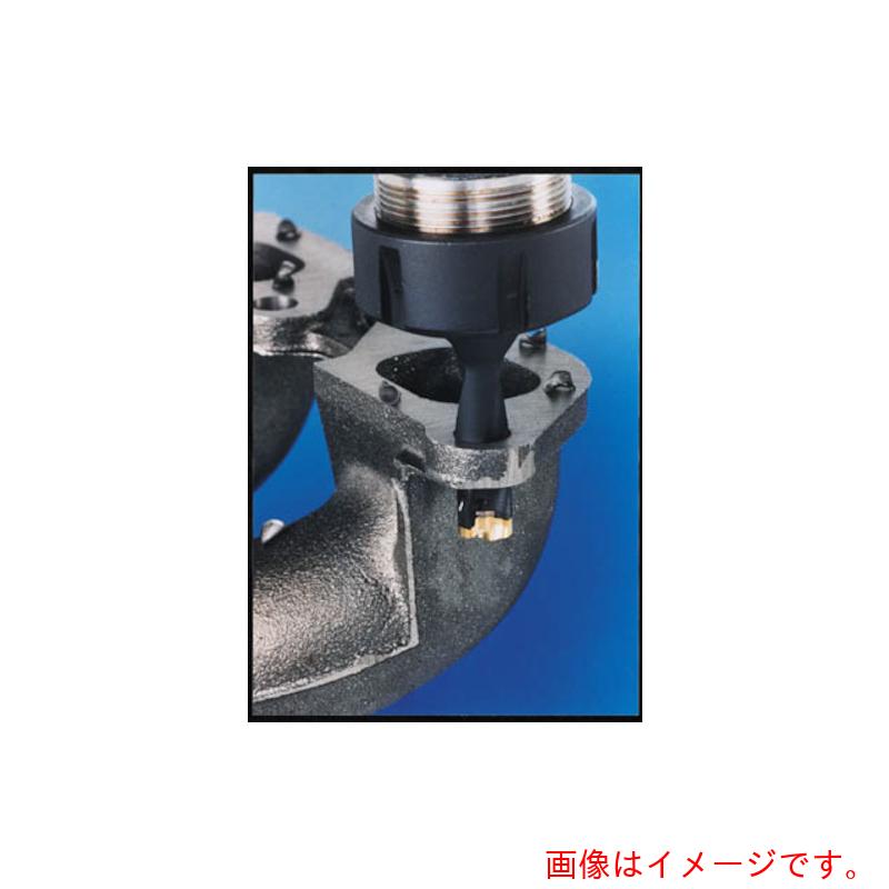 イスカルジャパン　カムドリル　ヘッド交換式ドリルホルダ　ＤＣＭ－５Ｄ　【品番：DCM 130-065-16A-5D】