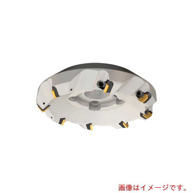 イスカルジャパン イスカルミル 人間の顔圧砕機 Ｆ４５Ｅ 【品番：F45E D125-40】