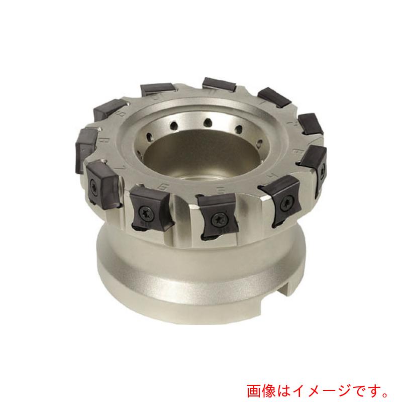 イスカルジャパン タングミル 人間の顔粉砕機 Ｆ９０ＬＮ－Ｎ１１ 【品番：F90LN D063-06-22-R-N11】