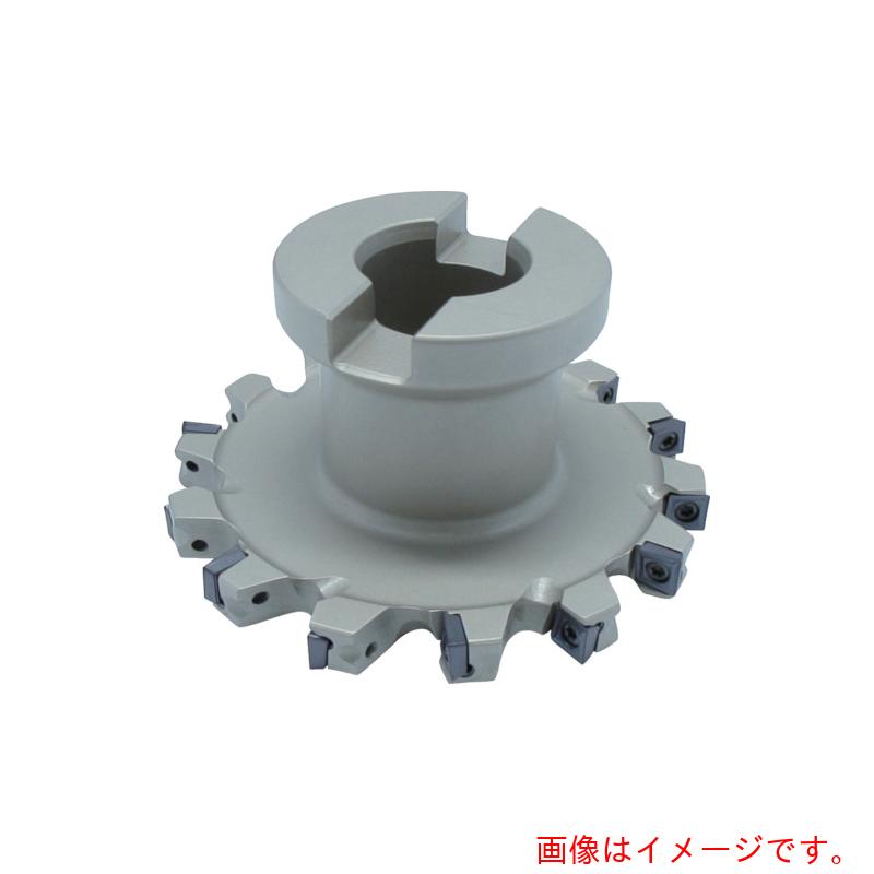【別途送料あり】イスカルジャパン　ヘリクアッド　チップ交換式スロッター　ＦＤＮ　【品番：FDN D250-20-60-R12】