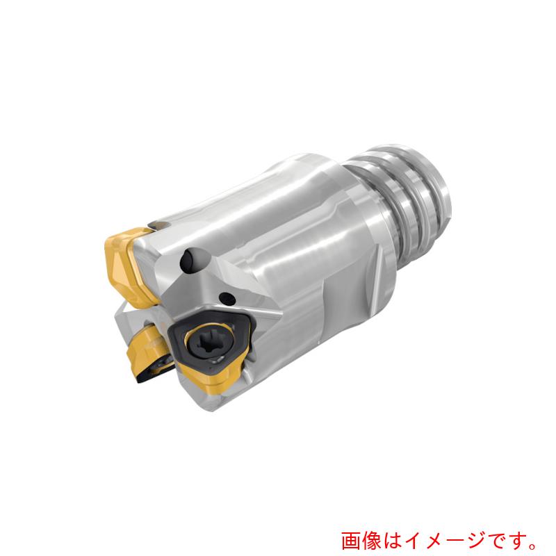 イスカルジャパン　マイクロ３フィード　エンドミル　マルチマスターねじ式アダプター　ＦＦＴ３　ＥＦＭーＭＭ０３　【品番：FFT3 EFMD25/.98-6MMT15-03】