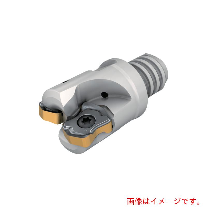 イスカルジャパン ミーリング工具 ロジック4フィード エンドミルマルチマスターねじ式アダプター FFX4 ED-MM 刃数2枚 刃径16mm シャンク径16mm 【品番:FFX4 ED16/.63-2-MMT10-04】