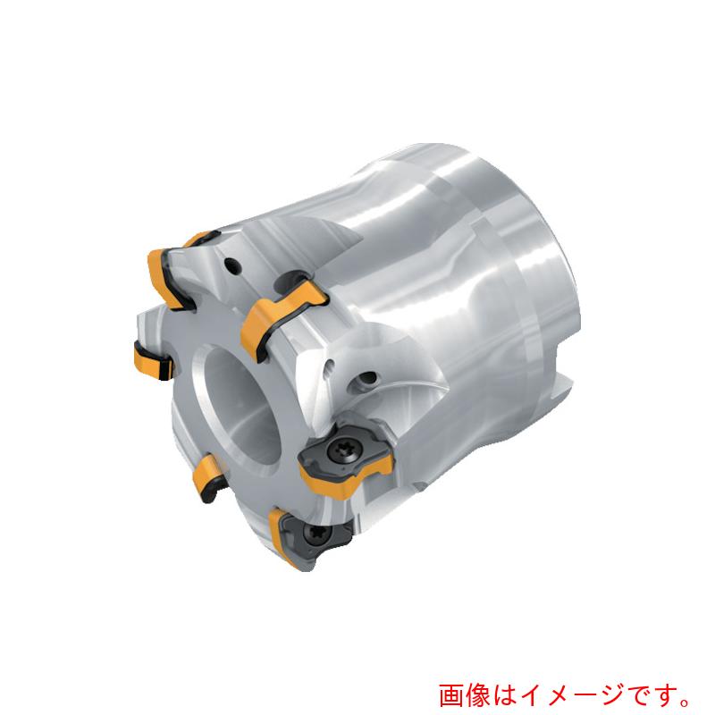 イスカルジャパン　ミーリング工具　ロジック４フィード　エンドミル　ＦＦＸ４　ＥＤ　刃数４枚　刃径２５ｍｍ　シャンク径２５ｍｍ　【品番：FFX4 ED25-4-080-W25-04】