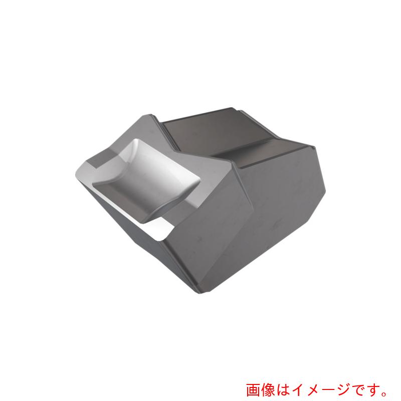 イスカルジャパン　セルフグリップ　チップ　ＧＦＮ　ＩＣ４２８　【10個】 　【品番：GFN 2】