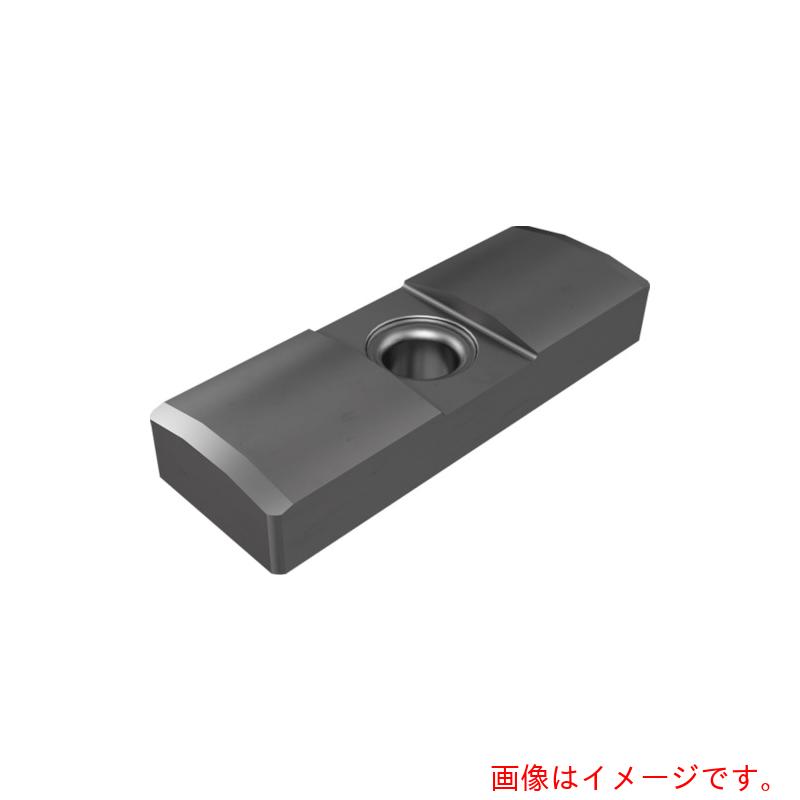 イスカルジャパン　部品　超硬ガイドパッド　ＧＰＳ　ＩＣ９０８　【5個】 　【品番：GPS-06-20-100-DC】