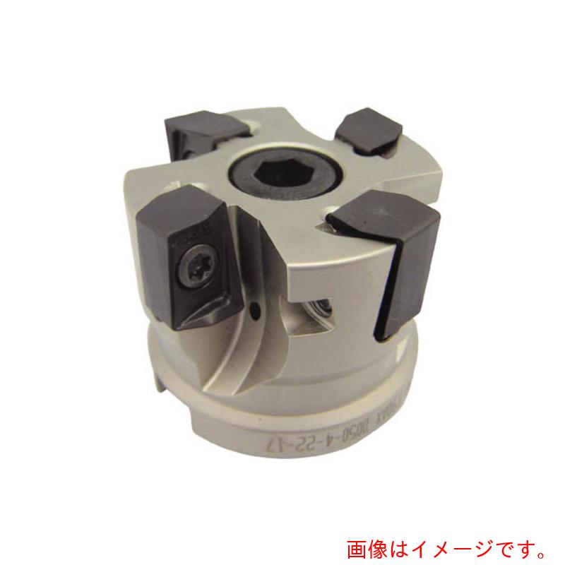 イスカルジャパン ヘリドゥ４９０ 人間の顔粉砕機 Ｈ４９０ Ｆ９０ＡＸ－１７ 【品番：H490 F90AX D063-6-25.4-17】