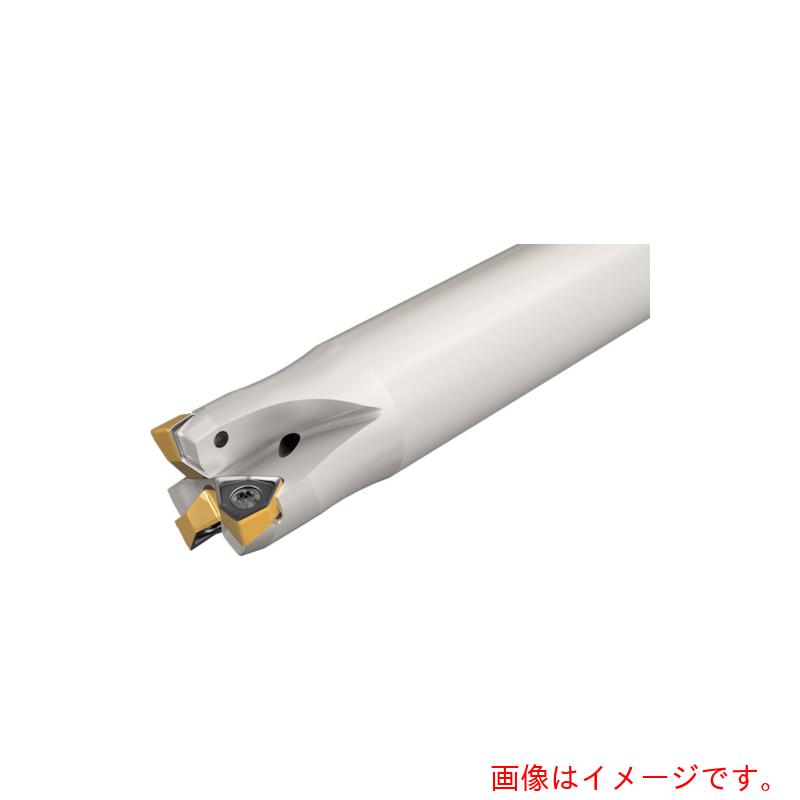 イスカルジャパン ヘリドゥ 挙げ句の果て圧砕機 Ｈ６９０ ＥＷＮ－０４ 【品番：H690 EWN D20-3-C19-R04-B】