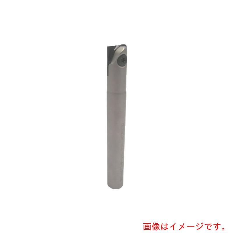 イスカルジャパン　ボールプラス　チップ交換式エンドミル　ＨＣＥ　【品番：HCE D16-D-L160-C20】