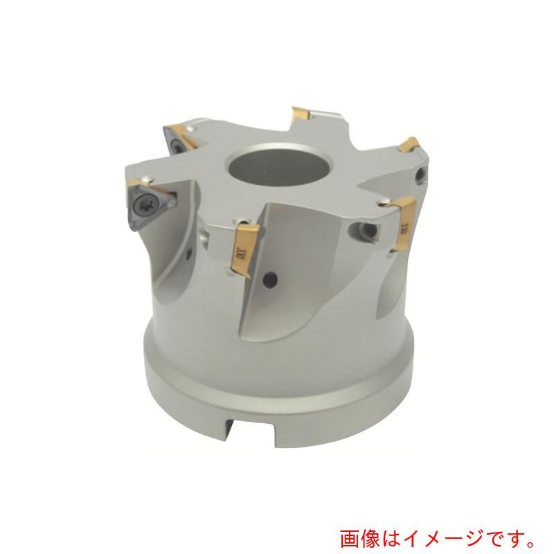 イスカルジャパン ヘリコプター３圧砕機 人間の顔圧砕機 ＨＭ３９０ ＦＴＰ－１０ 【品番：HM390 ftp D050-6-22-10】