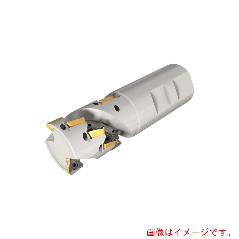 イスカルジャパン　ヘリＩＱミル　【品番：HM390 TPK D32-42-2-W32-10】 98,228円