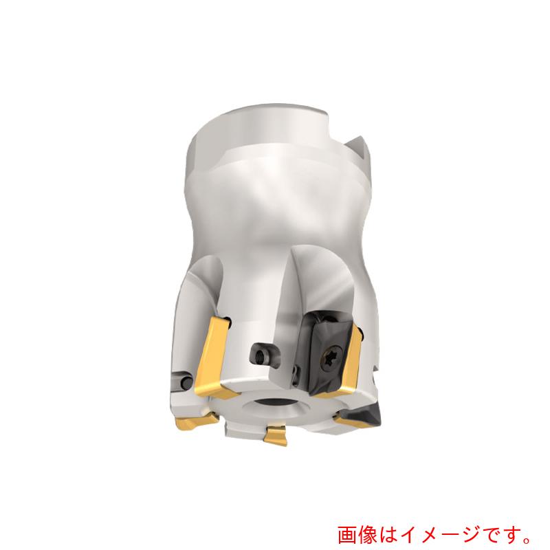 イスカルジャパン 人間の顔圧砕機 【品番：HM90 F90AP D050-7-22-JHP】