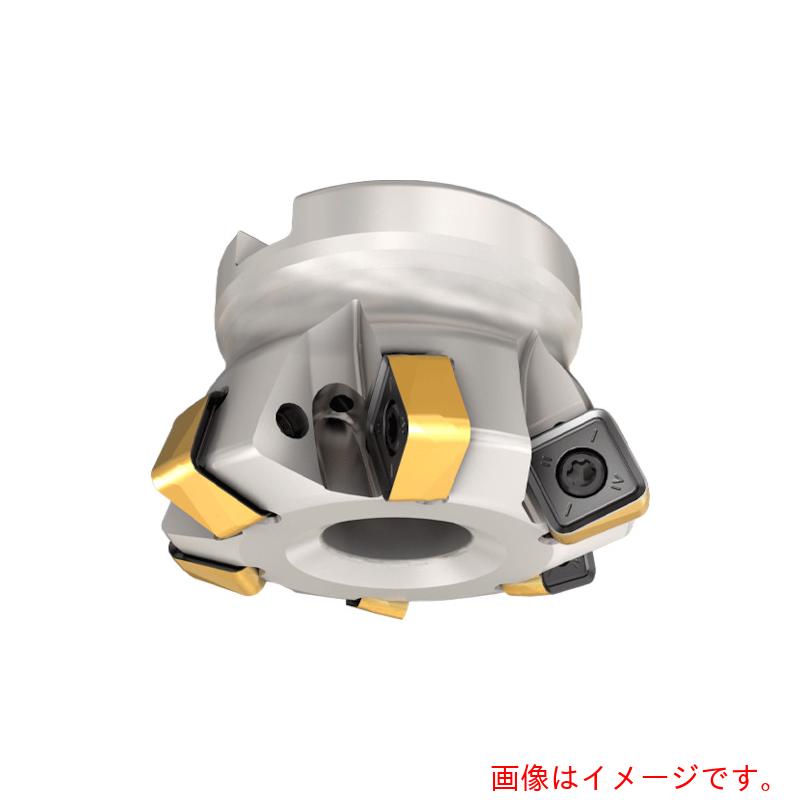 イスカルジャパン ネオフィード 人間の顔圧砕機 ＭＦＱ８－１２ 【品番：MFQ8 D080-07-27-12】