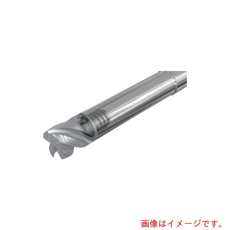 イスカルジャパン マルチ御師匠さん 保持者（ストレートシャンク） 【品番：MM S-A-L075/30-SL10T06C】