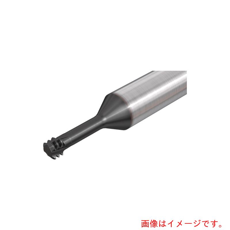 イスカルジャパン 超硬ソリッドエンドミル ＭＴＥＣＳ－ＩＳＯ ＩＣ９０８ 【品番：MTECS0606C24 1.25ISO-L】