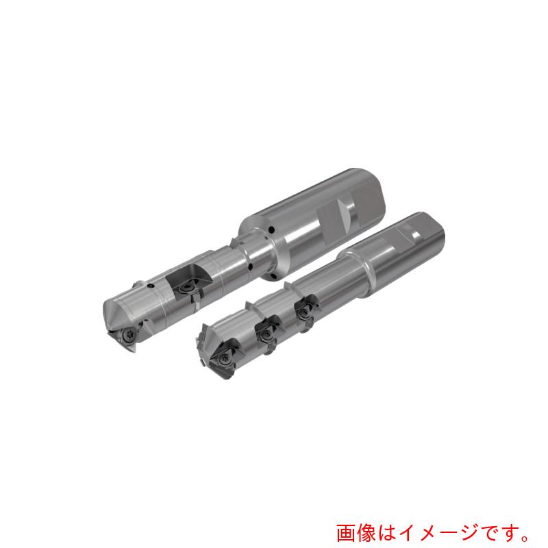 イスカルジャパン ねじ切りホルダ ミルスレッド MTET Step Release 【品番:MTET D30-3-36-3-W32-11U】