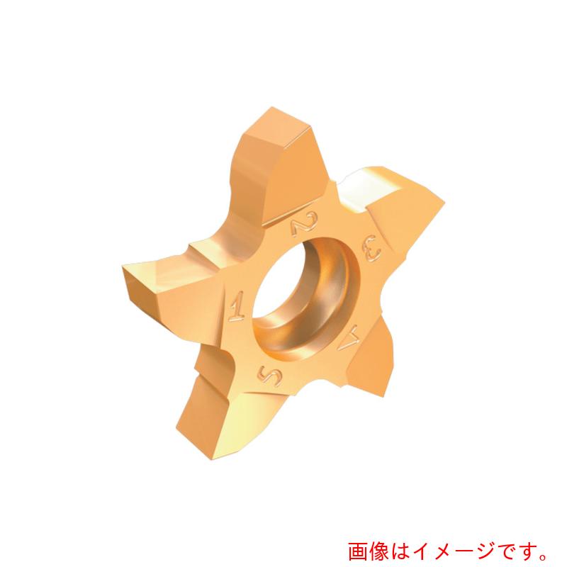 【メール便対応】イスカルジャパン 溝入れ・突切り工具用チップ ペンタカット チップ ＰＥＮＴＡ １７－ＮＰ－ＲＳ／ＬＳ 右勝手 チップ長さ１７ｍｍ ＩＣ１００８ 【5個】  【品番：PENTA 17-100NP08RS】