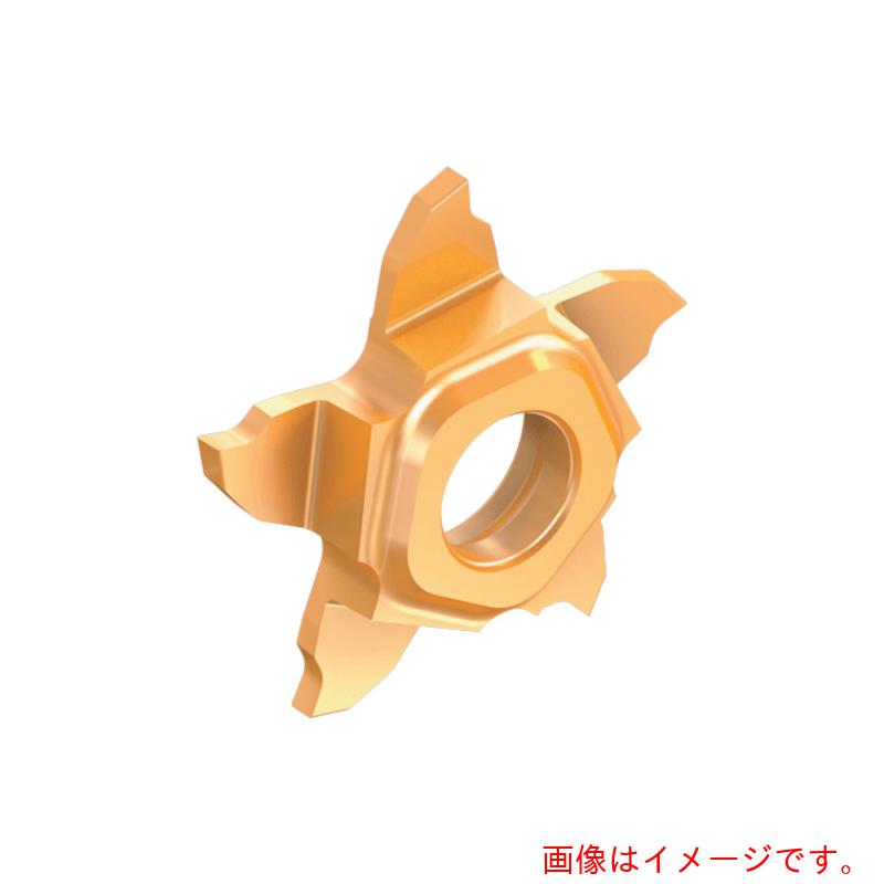 【メール便対応】イスカルジャパン 溝入れ・突切り工具用チップ ペンタカット チップ ＰＥＮＴＡ １７Ｒ／Ｌ－Ｐ－ＲＳ 右勝手 チップ長さ１７ｍｍ ＩＣ１００８ 【5個】  【品番：PENTA 17L100P-6D-RS】