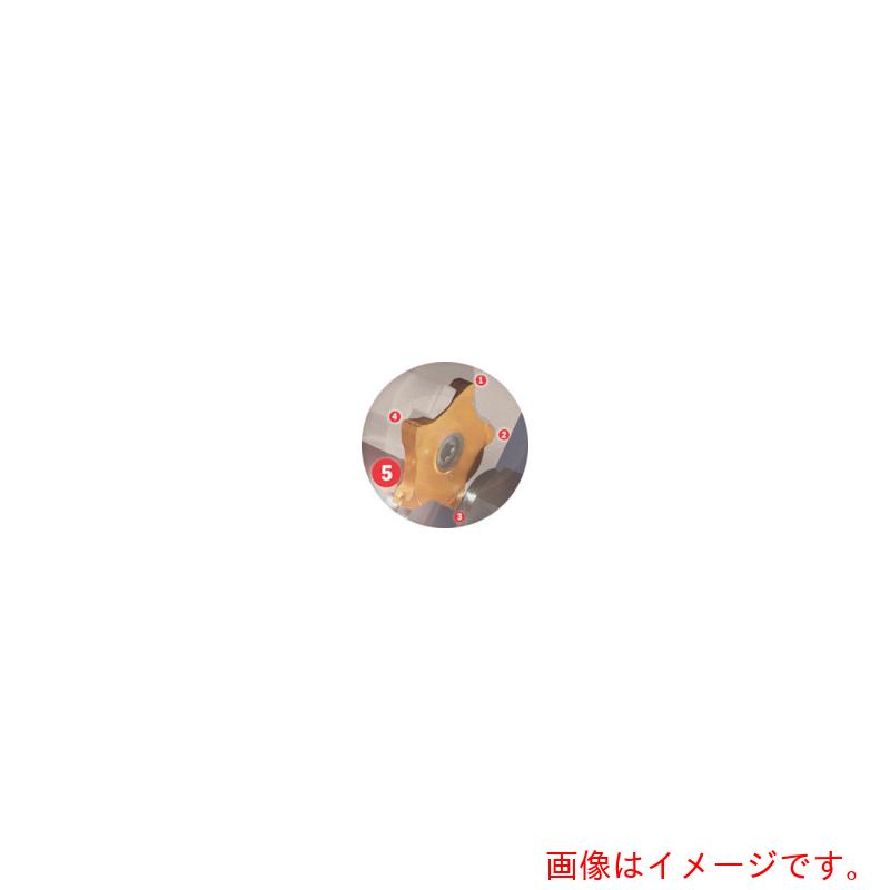 【メール便対応】イスカルジャパン　ペンタカット　チップ　ＰＥＮＴＡ　２４Ｒ／Ｌ－Ｊ　ＩＣ１００８　【5個】 　【品番：PENTA 24L150J06D】