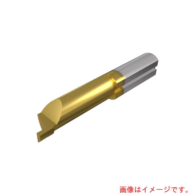イスカルジャパン　ピコカット小径ソリッドバー　ＰＩＣＣＯ－０１０／６１０　ＩＣ１００８　【品番：PICCO R 010.1005-10】