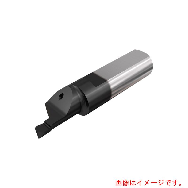 イスカルジャパン　ピコカット小径ソリッドバー　ＰＩＣＣＯ－０１０／６１０－Ｎ　ＩＣ９０８　【品番：PICCO R 010.3015-10N】 7,945円