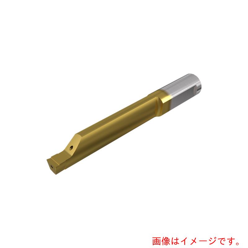 イスカルジャパン　ピコカット小径ソリッドバー　ＰＩＣＣＯ－０１６／０２０　ＩＣ１００８　【品番：PICCO R 016.0400-10】