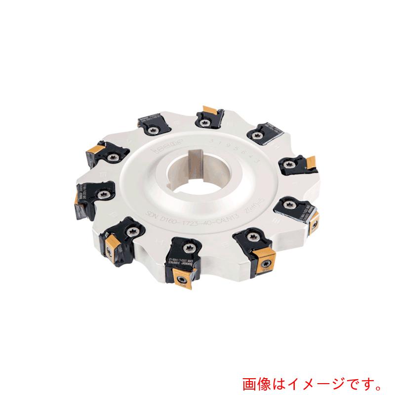 【別途送料あり】イスカルジャパン　タングスロット　カートリッジ式スロッター　ＳＤＮ－ＣＡＬＮ１３　【品番：SDN D250-1723-60-CALN13】