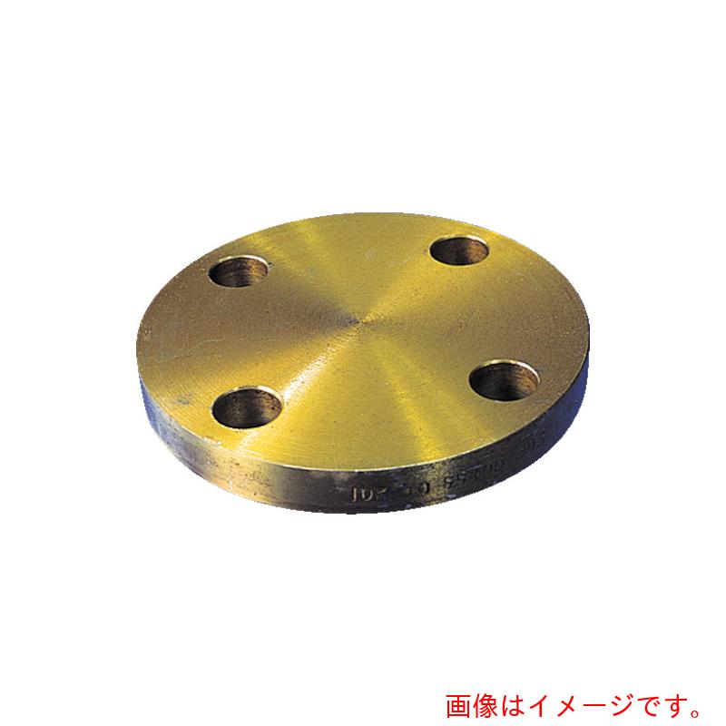 イシグロ（ISHIGURO）　黒　閉止フランジ　ＢＬ－ＦＦ型　ＳＳ４００相当　１０Ｋ　呼び径（Ａ）３００　【品番：10BL-F-300A】
