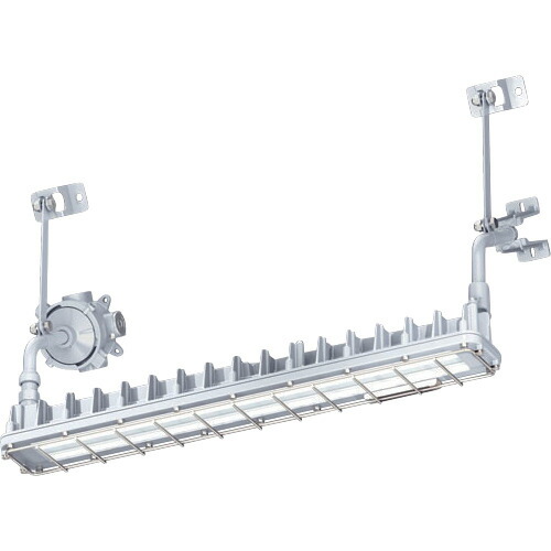 岩崎電気(EYE) 粉じん防爆形LED照明器具2灯用ブラケット形 【品番:EDCL3041SA9F-16】