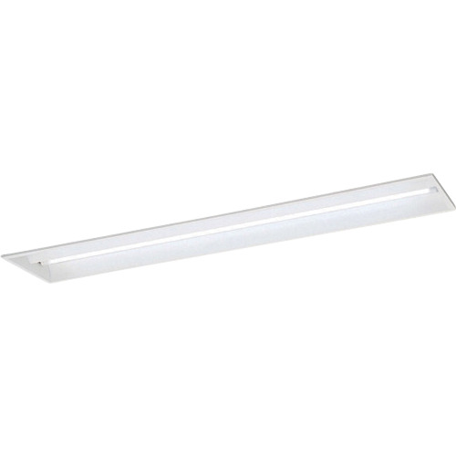岩崎電気（EYE）　ＬＤＬ４０×２灯用　埋込形　定格出力形　Ｌフリー　【品番：ELM40201PFH9】