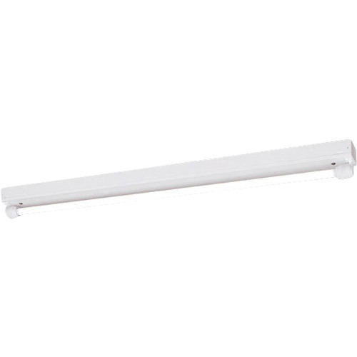 岩崎電気（EYE）　ＬＤＬ４０×１灯用トラフ形　ＷＰ　Ｌフリー　【品番：ELTW40101PFH9】