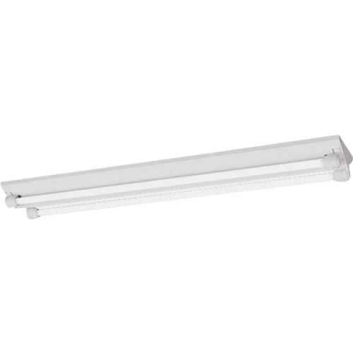 岩崎電気（EYE）　ＬＤＬ４０×２灯用逆富士形　ＷＰ　Ｌフリー　【品番：ELVW40201APFH9】