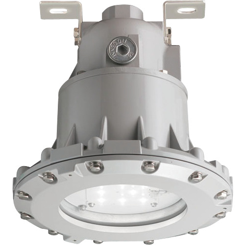 岩崎電気（EYE） 防爆形ＬＥＤ照明装置手道具 【品番：EXIL9021SA9-22】