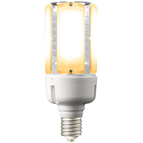 岩崎電気(EYE) LEDライトバルブK69W 電球色 【品番:LDT100-242V69L-G-E39】