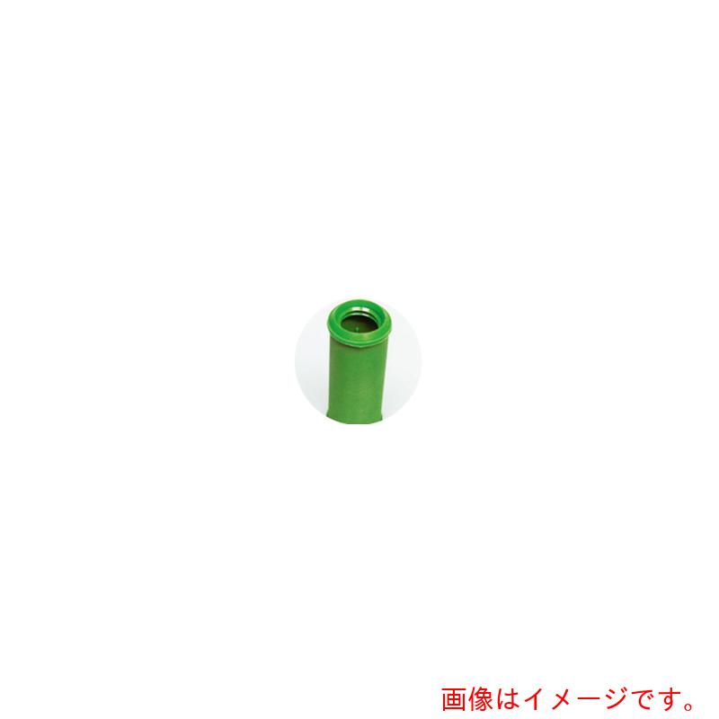 岩田製造所（iwata） 旗がしら（螺旋釘付）１００個入 【品番：GAP12X50T】