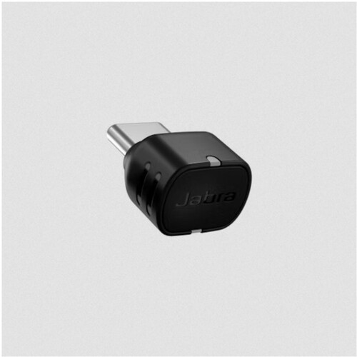 GNオーディオジャパン　Ｊａｂｒａ　Ｌｉｎｋ　３９０ｃ　ＭＳ　Ｔｅａｍｓ　ＵＳＢ－Ｃ　ｆｏｒ　Ｓｐｅａｋ２　【品番：14208-46】