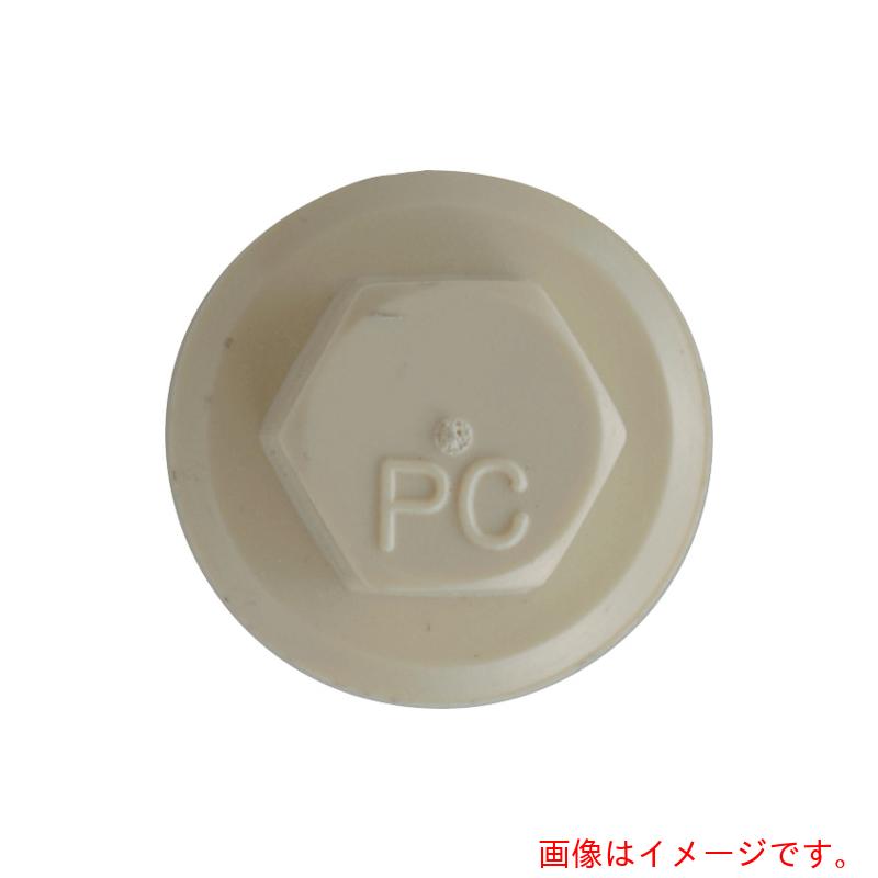 日本パワーファスニング（JPF）　プラカラー　ライトベージュ　５&times;１９　ＢＥ&minus;１１　（５００本入り）　【品番：PC5X19BE-11】｜住設プロ　店 15,484円