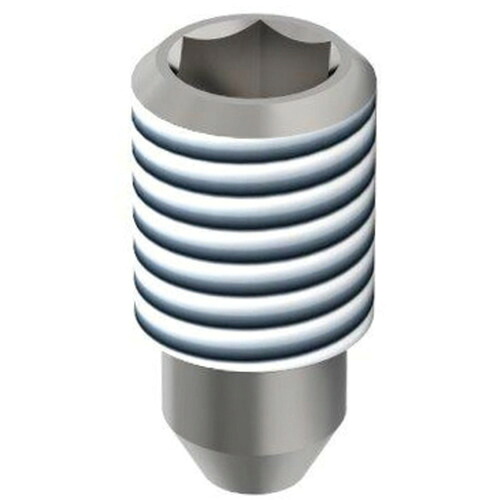 【別途送料あり】ケルヒャージャパン（KARCHER）　超高圧洗浄機アクセサリー　Ｎｏｚｚｌｅ　ｆｏｒｍ　２１，　Ｓａｐｈｉｒ，　０，７０ｍｍ　【品番：6.025-222.0】