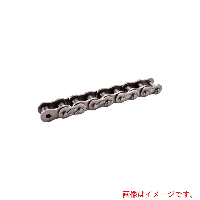 【別途送料あり】片山チエン（KANA）　２００ＣＰ　チエン　４８Ｌ（３Ｍ）　【品番：KANA200-CPT】