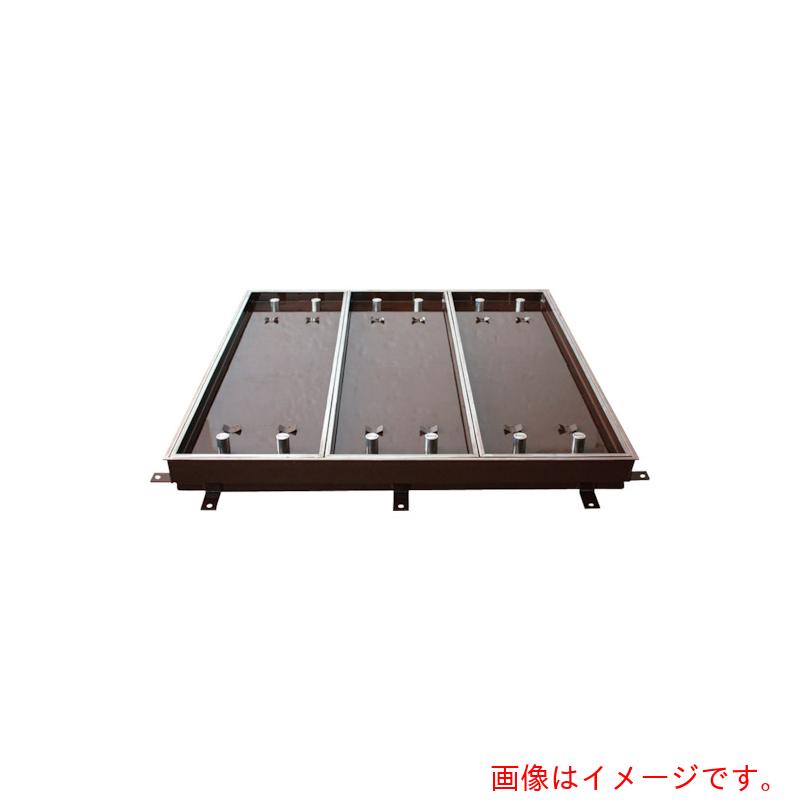 【別途貨物輸送あり】カネソウ（KANESO） 器械ハッチ 詰め直す用 屋内用 原則として形 スチール写真製 ステンレス鋼目地 【品番：S-2E-600X1200-HANDORUTSUKI】