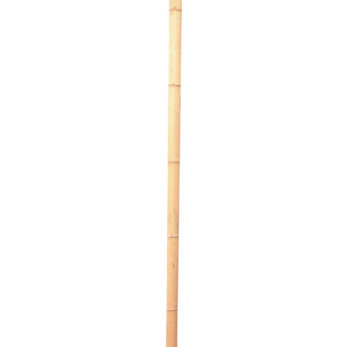 【別途送料あり】加藤伝蔵商店　伝蔵　竹　建仁寺　１．８Ｍ　【40個】　【品番：J022】