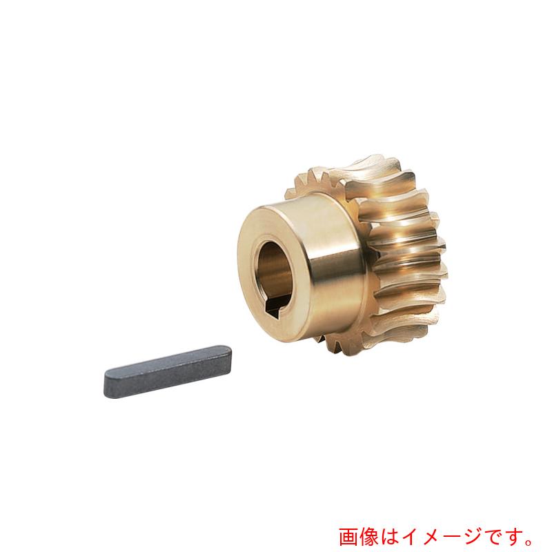 協育歯車工業（KG）　ウォームホイール　Ｇ１．５Ａ　５０Ｒ１＝２０　モジュール１．５　圧力角２０度（並歯）　【品番：G1.5A 50R1\u003d20】