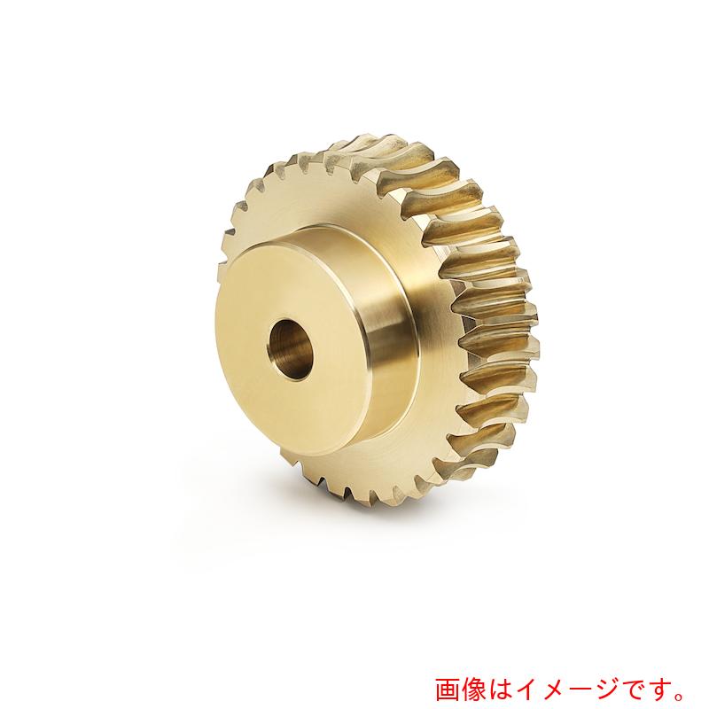 協育歯車工業（KG）　ウォームホイール　Ｇ２Ａ　２０Ｌ１－１０　モジュール２．０　圧力角２０度（並歯）　【品番：G2A 20L1-10】