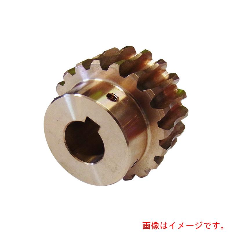 小原ギヤー加工（KHK） ウォーム車輪ＢＧ２．５－２０Ｒ１Ｊ１７ 【品番：BG2.5-20R1J17】